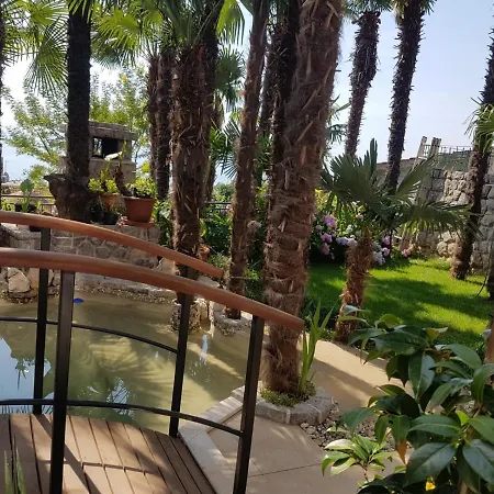 Beautiful View 3 דירה *
